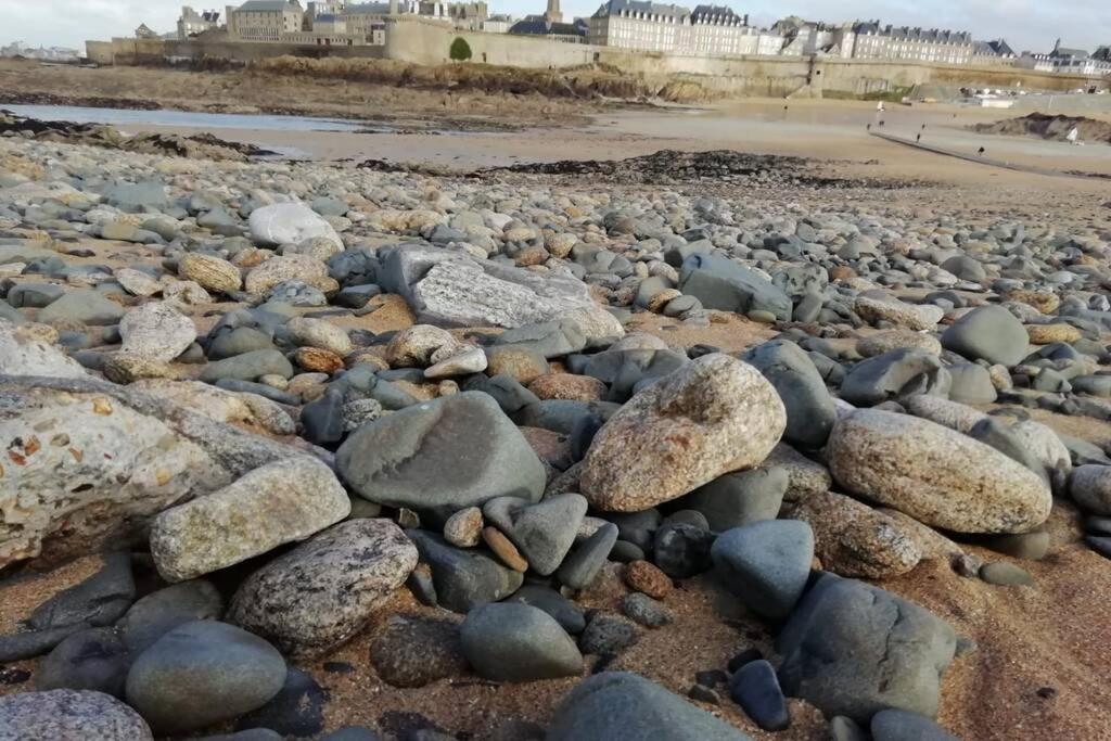 Cap Malouin Apartment Saint-Malo Ngoại thất bức ảnh